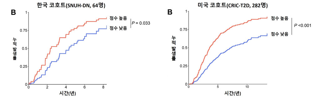 당뇨병콩팥병 치료제 개발 단서 확인