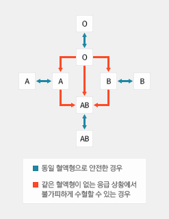 ABO 혈액형에서의 수혈