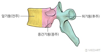 척추뼈의 3개 부분